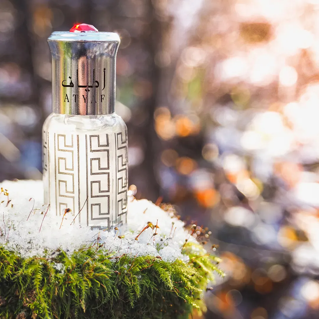 Professional Photography